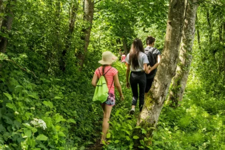 Ilgāja – stigen Naudas akmens