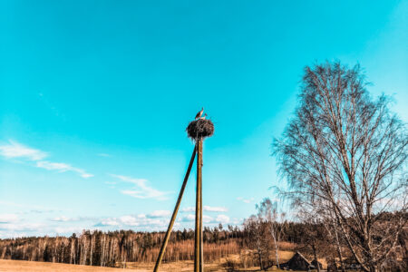 Kvēpene väike ring — 4