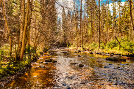 Raunis – Vaive veski — 4